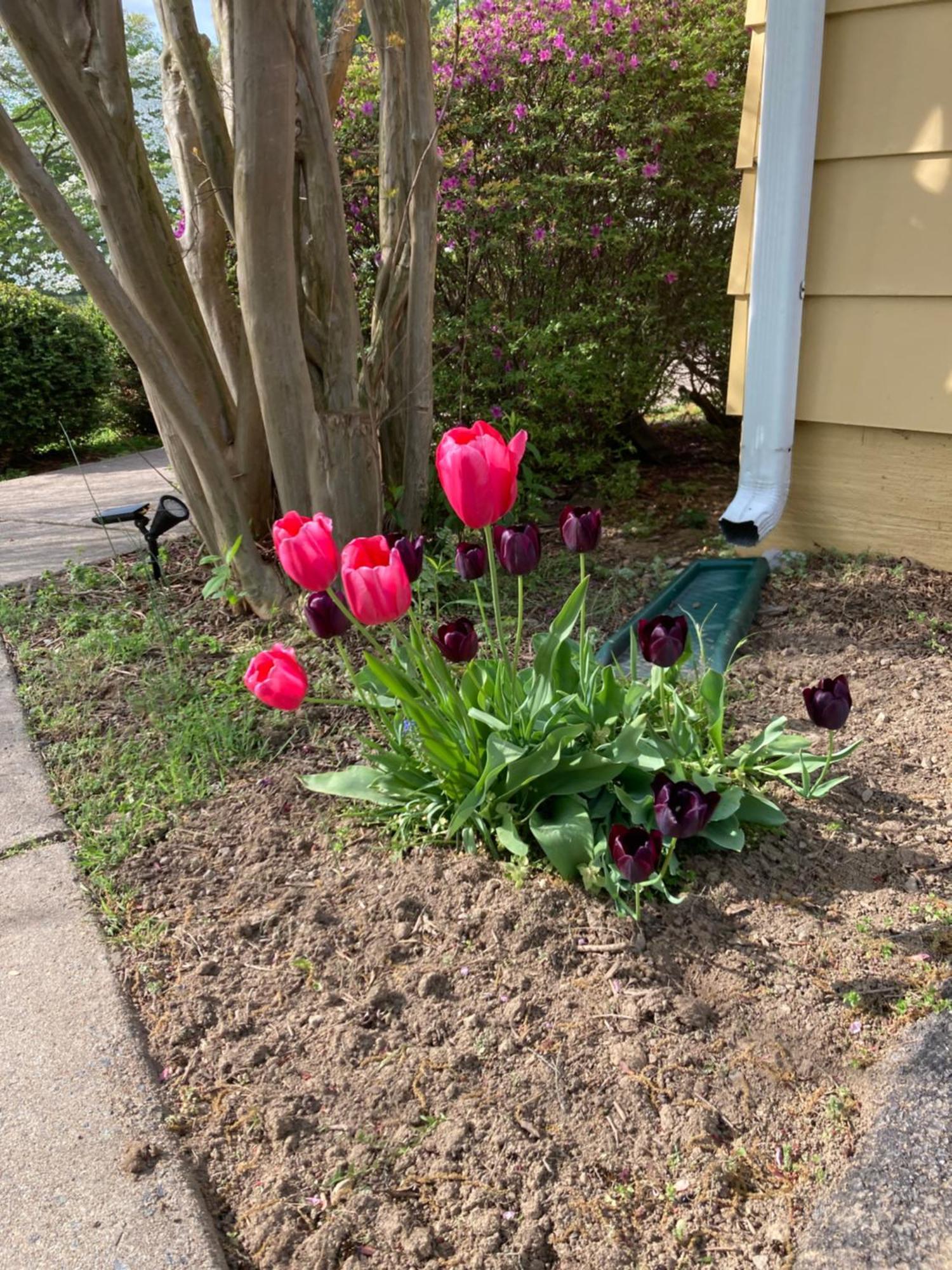 Purcellville Home Esterno foto